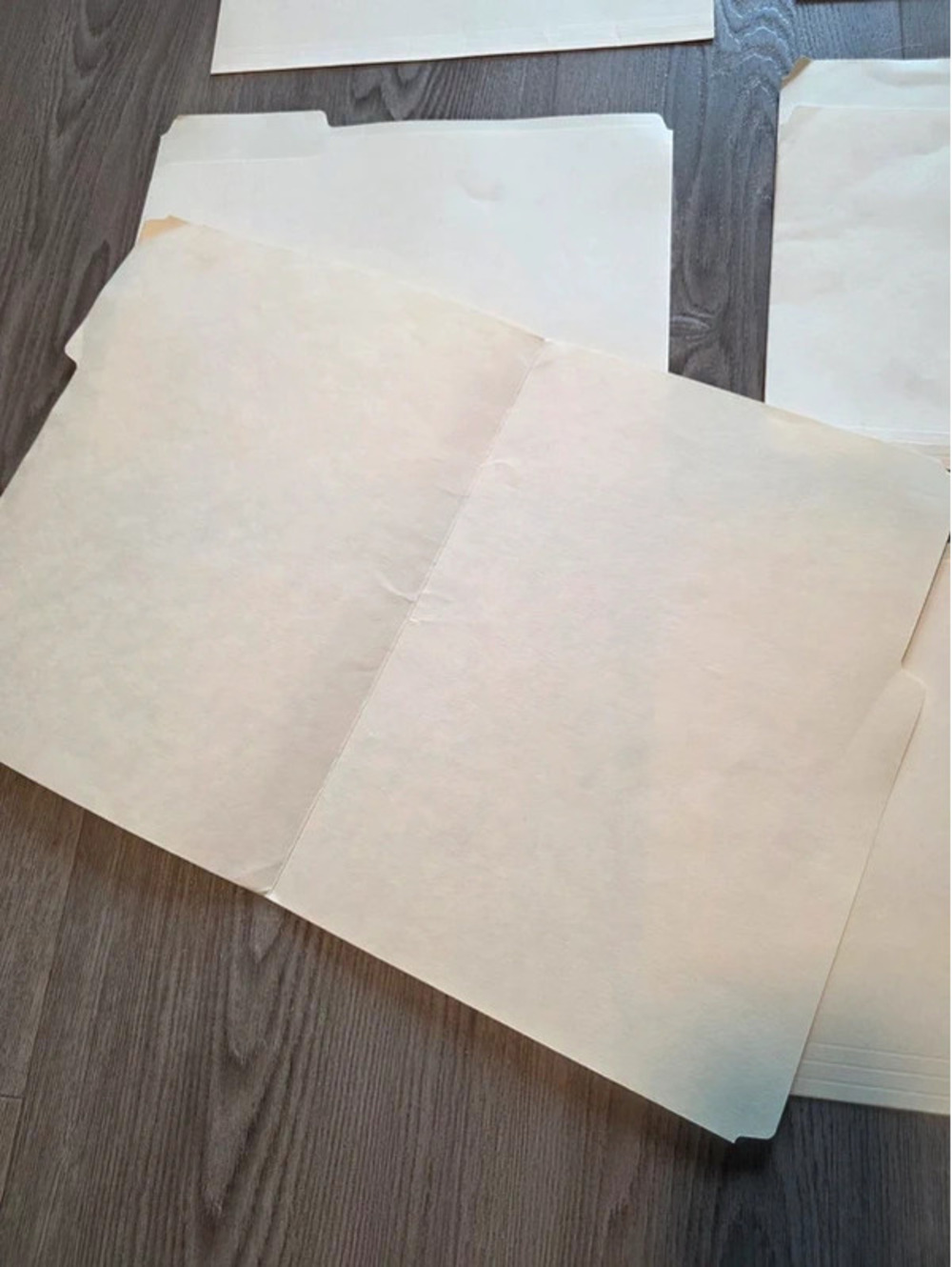 File folders - Picture 2 of 3